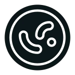 Experiment SVG Icon